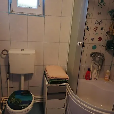 Vakantiehuis Casuta Cu Flori Năvodari