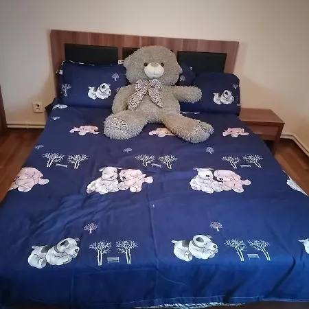 Casuta Cu Flori